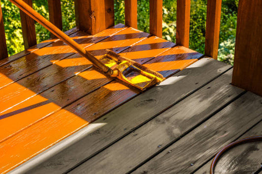 Deck and Fence Painting